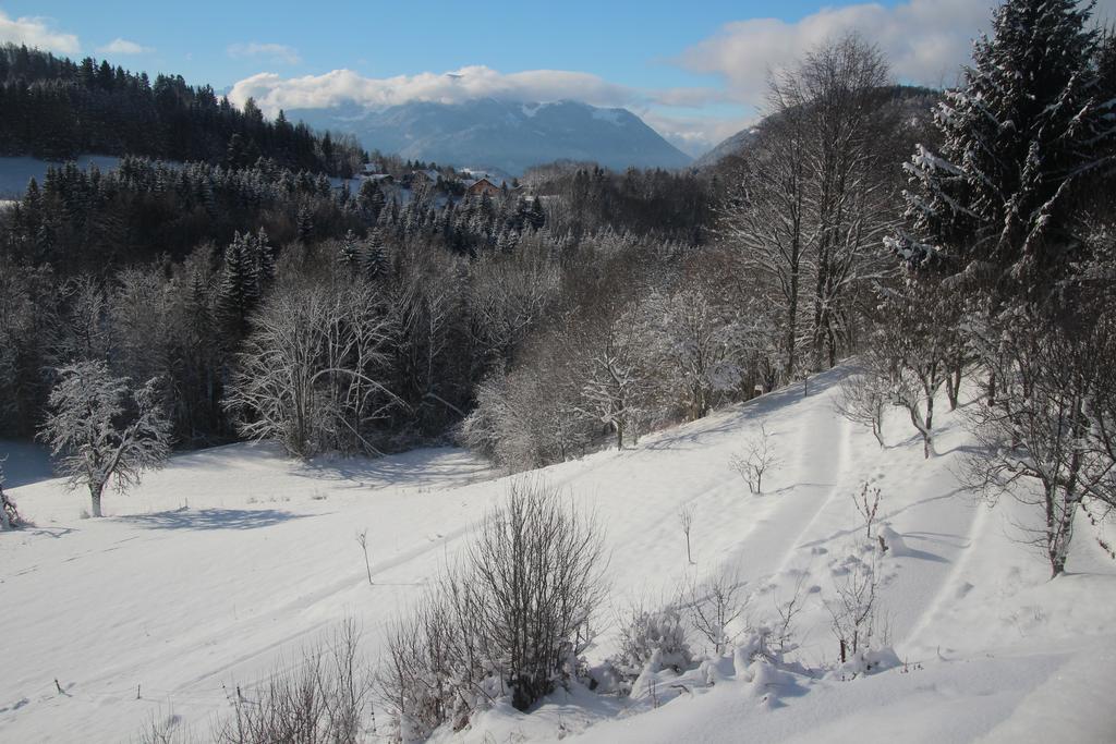 Chalet Eterlou Mégevette Esterno foto