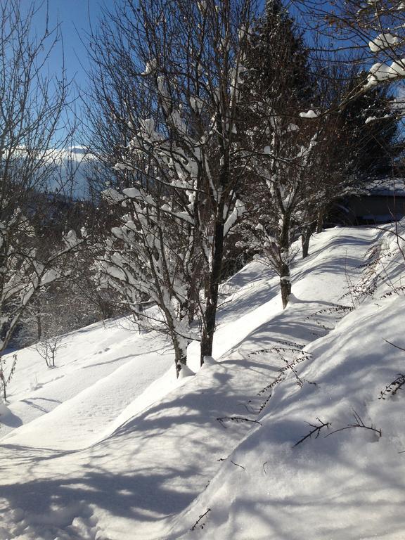 Chalet Eterlou Mégevette Esterno foto