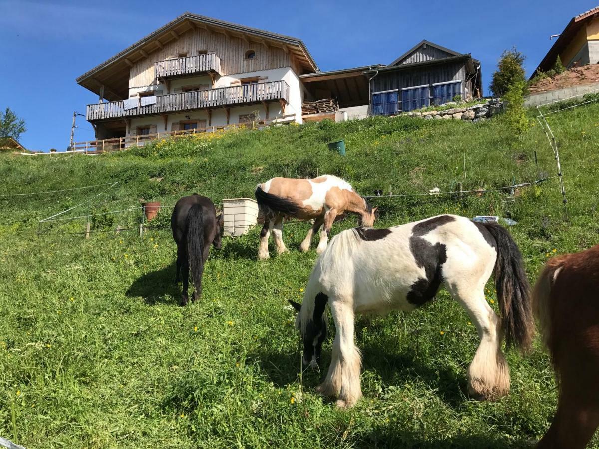Chalet Eterlou Mégevette Esterno foto